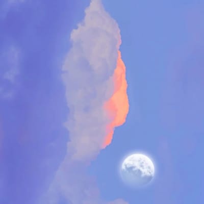 انزمام الحق avatar
